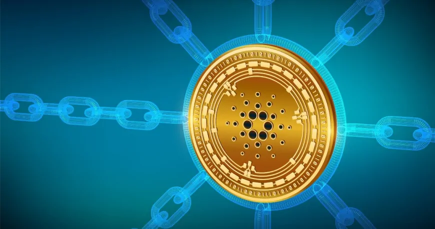 Cardano Investors Show Growing Confidence, Extending Holding Times Surge