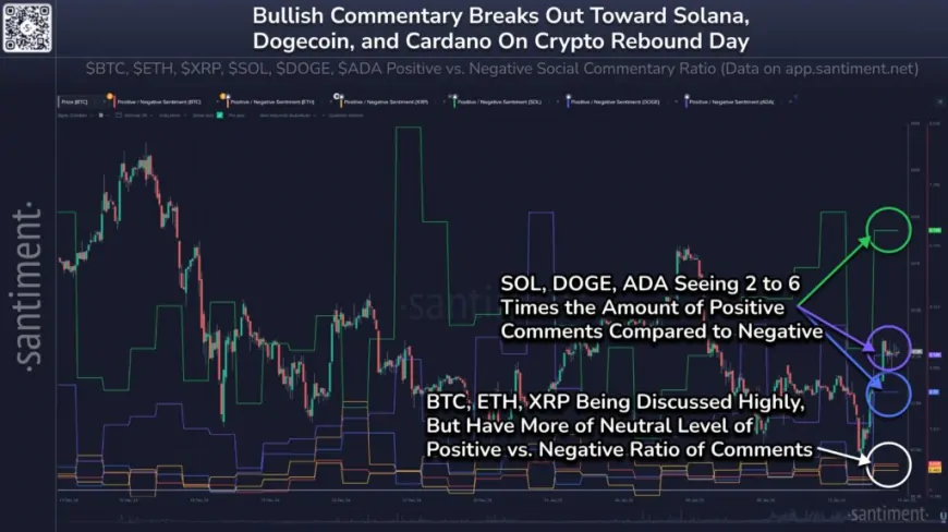 Social Media Turns Bullish On Dogecoin, Solana As Market Rebounds