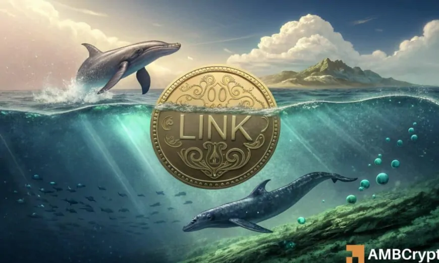 Will LINK's $25 resistance break after THIS whale accumulation?