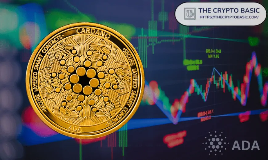 Analysts Say Cardano Has One of the Best-Looking Charts Out There