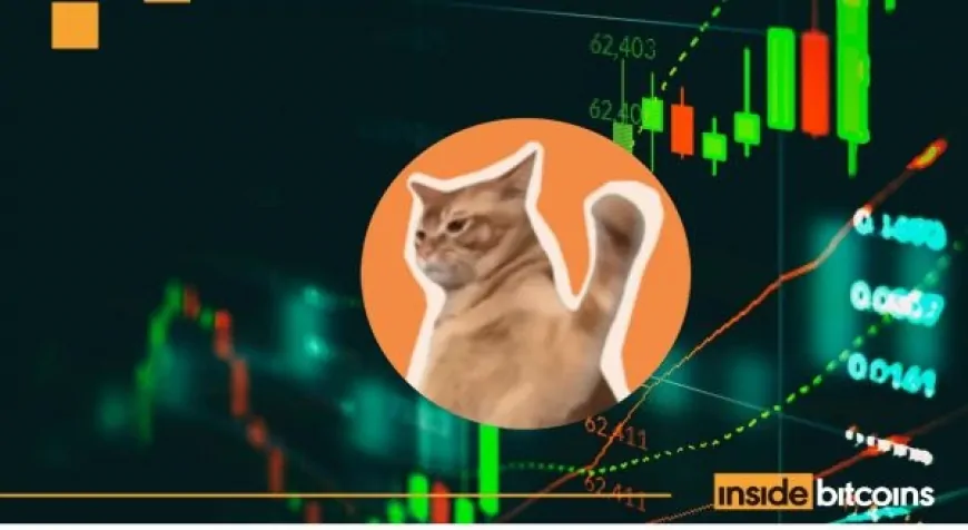 Viral Meme Coin Catslap Airdrops $100k USDT To Top 10 Slapdrop Winners – Rewards Go Live Today