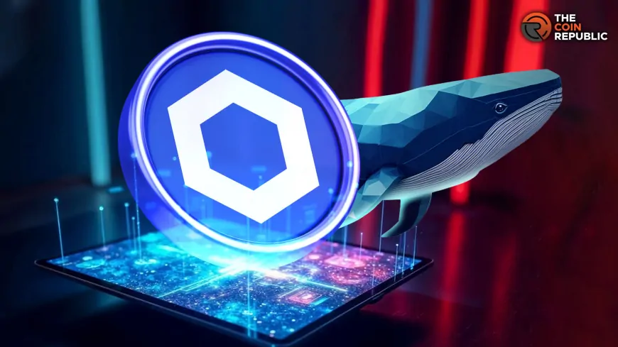 Chainlink Price Rallies Amid Whale Buying And CCIP Upgrade On Mainnet