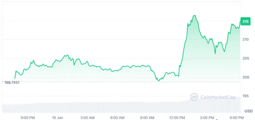 Onchain Data Shows AI Altcoin Growing Faster Than Solana in Last Bull Cycle While WIF Recovers 15%