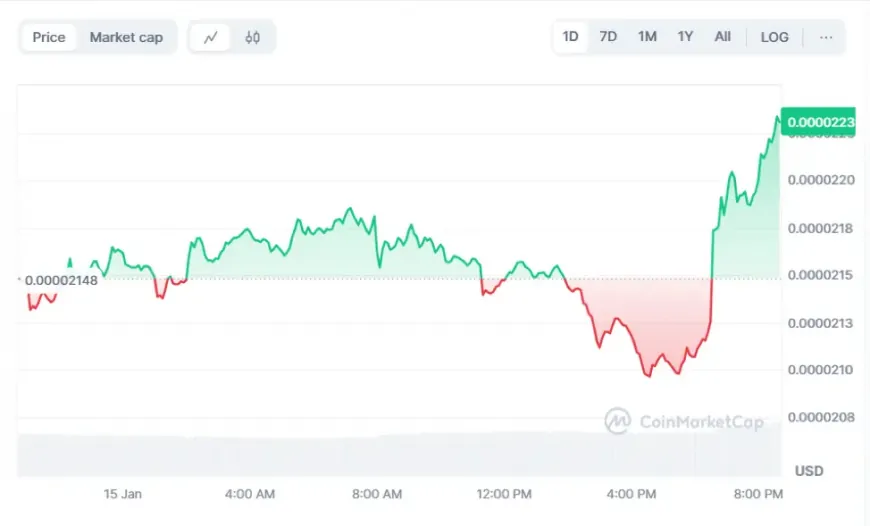 Shiba Inu (SHIB) and SUI Blockchain Recover, But The Fastest Returns Will Come From DTX Exchange in 2025