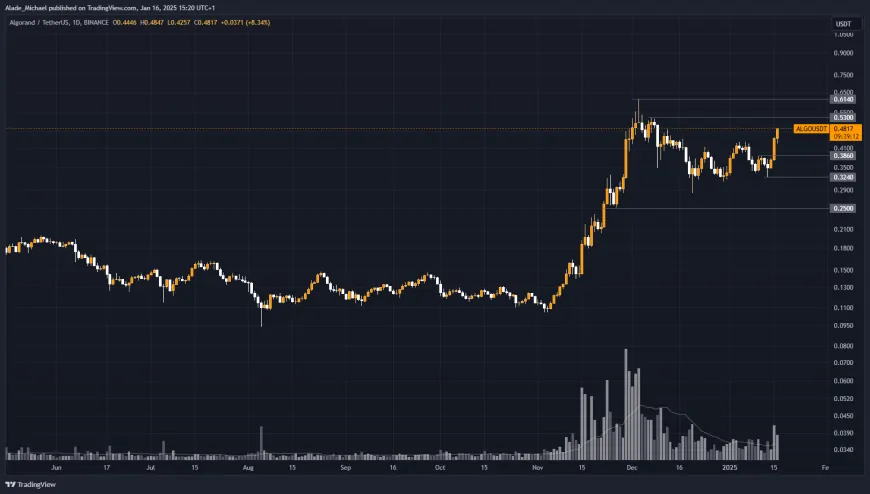 ALGORAND PRICE ANALYSIS & PREDICTION (January 17) – Algo Resumes Bullish Following 20% Increase Daily, Targets $0.6 