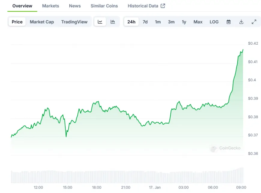 Dogecoin (DOGE) Price: Gains Momentum as Whales Accumulate Massive Holdings