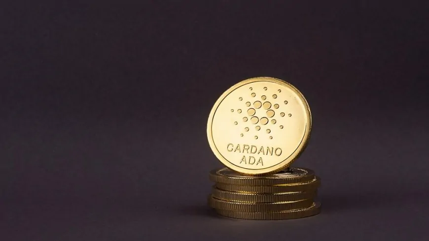 Cardano Could Lead Altcoin Season, Says Peter Brandt