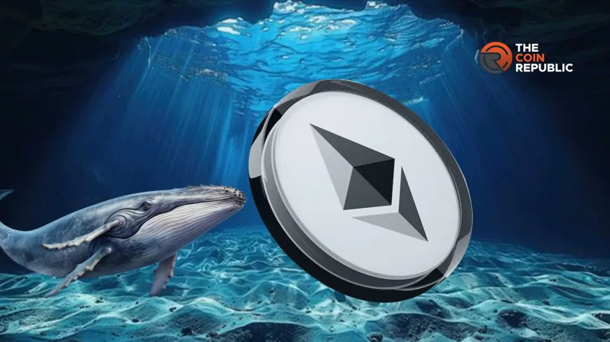 Ethereum Whales Stacking Up As Markets Recover