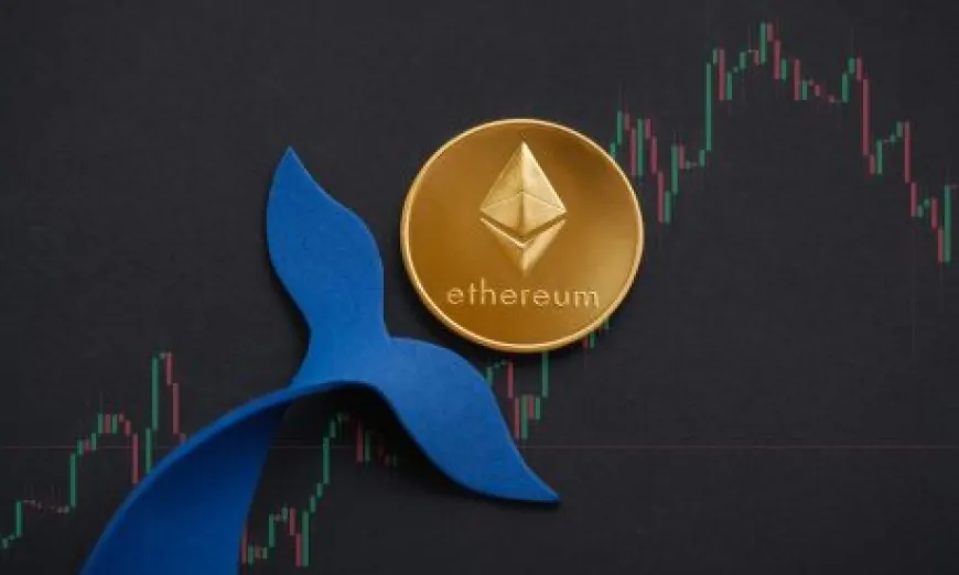 Ethereum Whales Double Holdings To 43% Post-Merge – Details