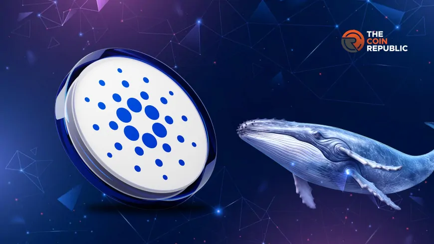 Cardano Price Targets $2 Rally Amid Whale Activity, What's Next?