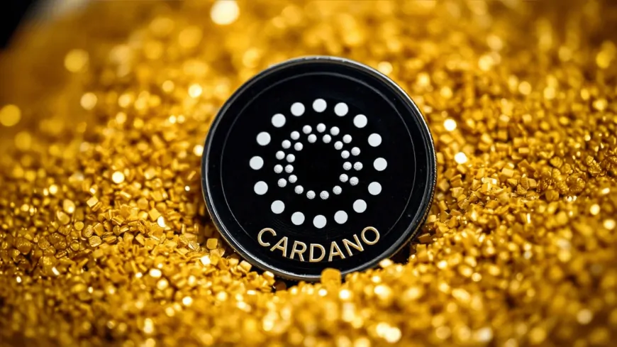 Will Cardano Hit $5? Explore These Best Cryptocurrency To Buy Now With Huge Potential