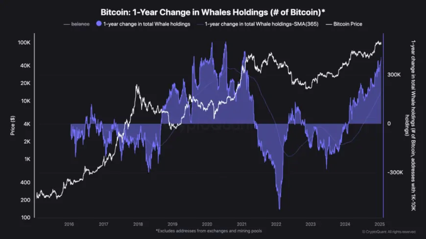 Bitcoin (BTC USD) Targets $145K-$249K  Amid Institutional Inflows