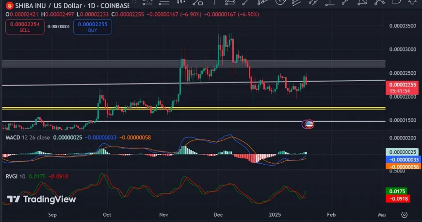 SHIB Faces Decline Amid Massive Outflows: Is a Trend Reversal on the Horizon?