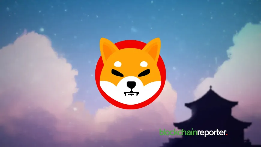 Shiba Inu (SHIB) Price Prediction For January 19