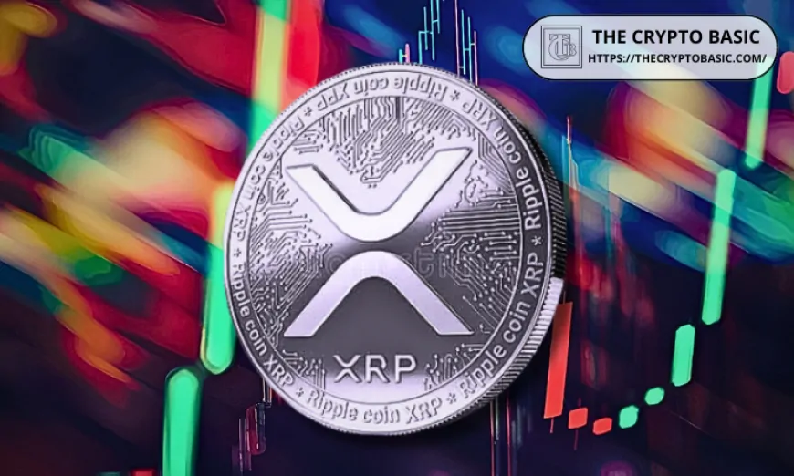 Top Bitcoin Maxi Says XRP is Not a Safe Investment but Can Do Another 7X Run to $24