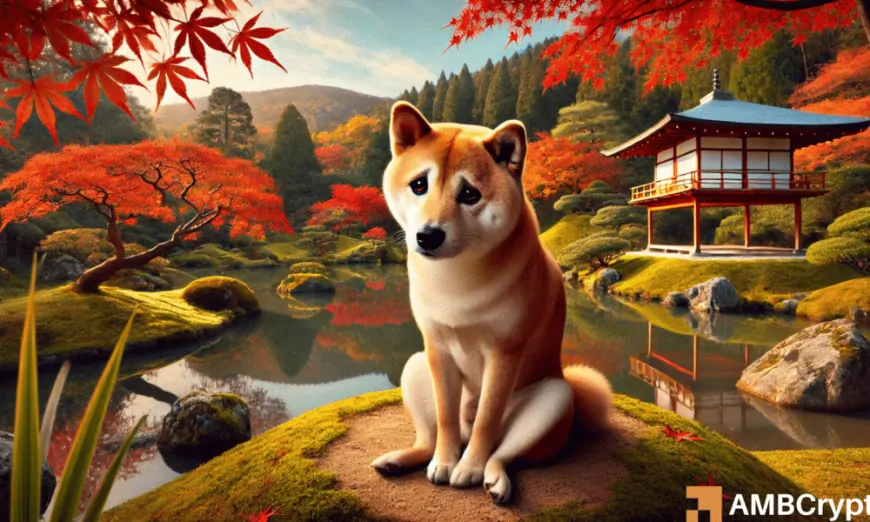 Shiba Inu wavers: As SHIB loses top spot to THIS memecoin, what's next?