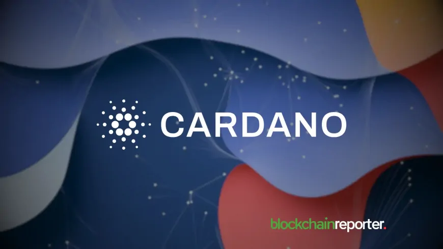 Whales Bet on This Ethereum-Based Altcoin Over Cardano (ADA) as the Next 50x Opportunity