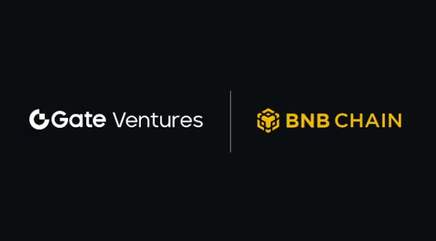 Gate Ventures Pledges $20M to Support the BNB Incubation Alliance