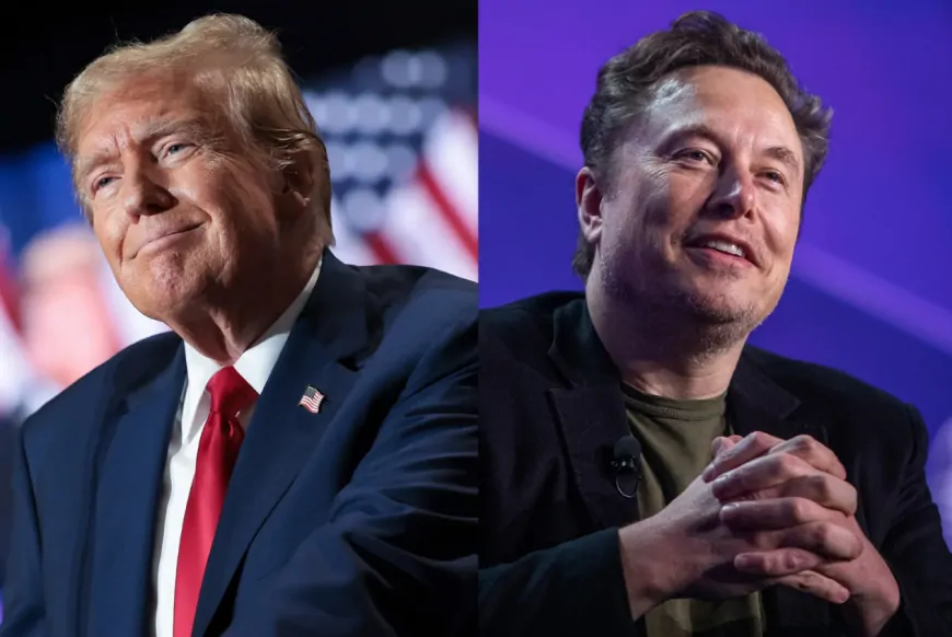 Lawsuit Shock Against DOGE Ministry Led by Elon Musk! Lawsuit Will Be Filed As Soon As Trump Takes Office! Here's Why!