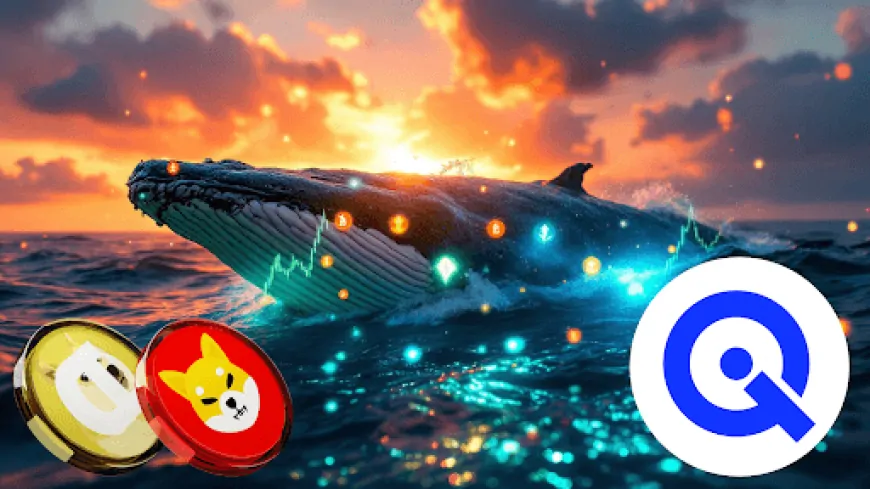 New ‘DOGE Killer' Attracts $5.5 Million From Shiba Inu Whales As They Predict 57,000% Surge To $5