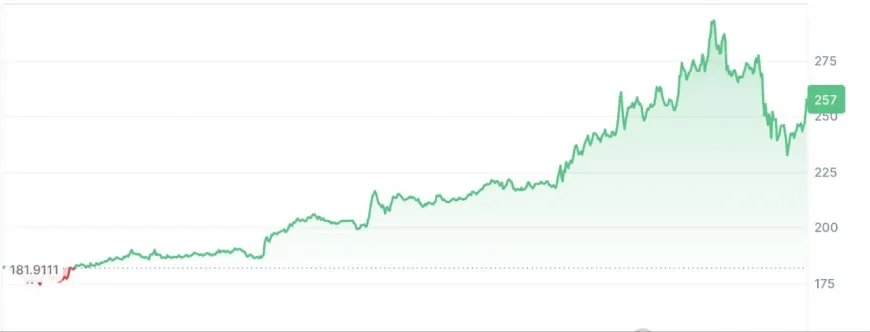 Solana jumps back to life with a 40% surge, will profits move to this viral utility coin next?