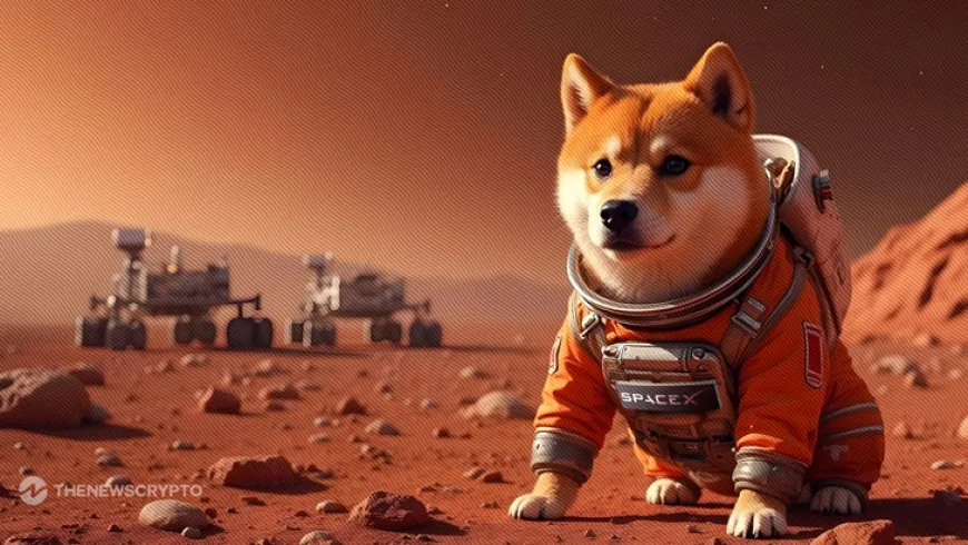 DOGE Plunges 9% Despite Elon Musk's ‘Doge to Mars' Remark