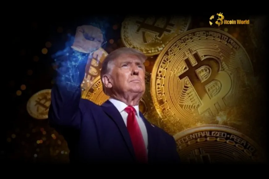 Analysis: Trump's Impact on Bitcoin Strength and Investor Optimism