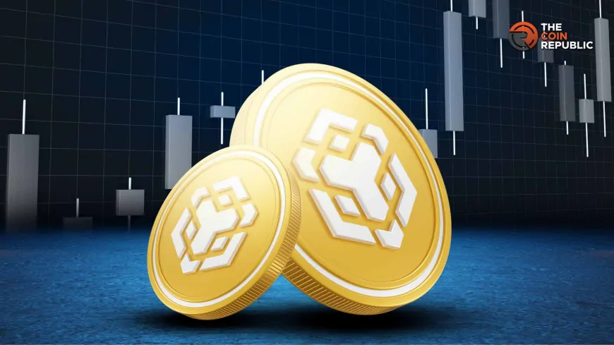 BNB Coin Could Rally 50% Says Analyst, Here's Why