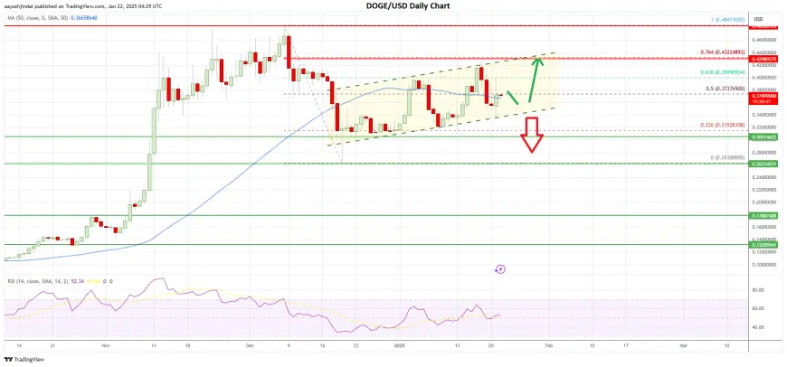 Dogecoin (DOGE) Stands Strong: Are Bulls Preparing for a New Surge?