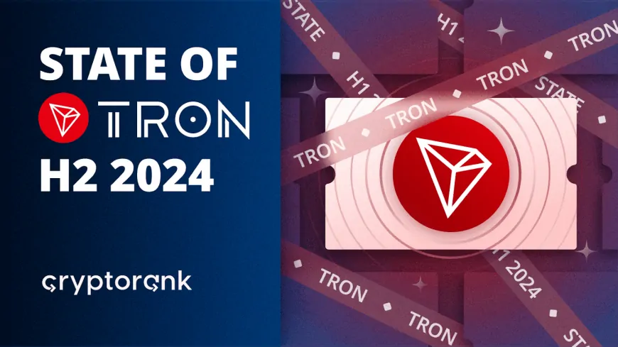 TRON H2 2024: Dominating Stablecoin Ecosystem While Pioneering New Horizons 