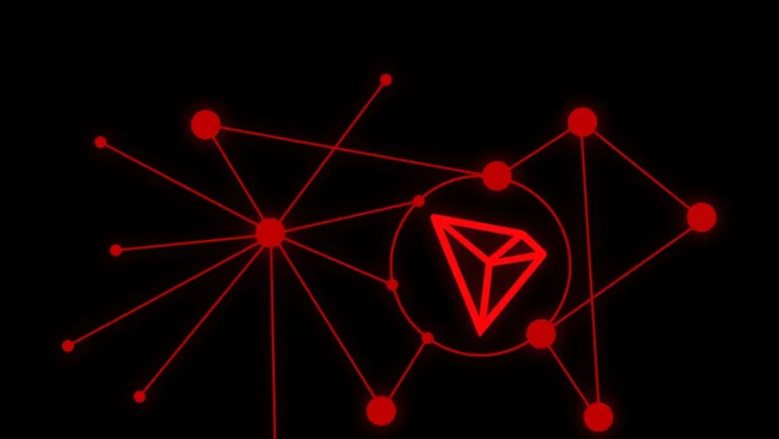 Trump-Linked DeFi Project Boosts TRON Holdings in Strategic Shift