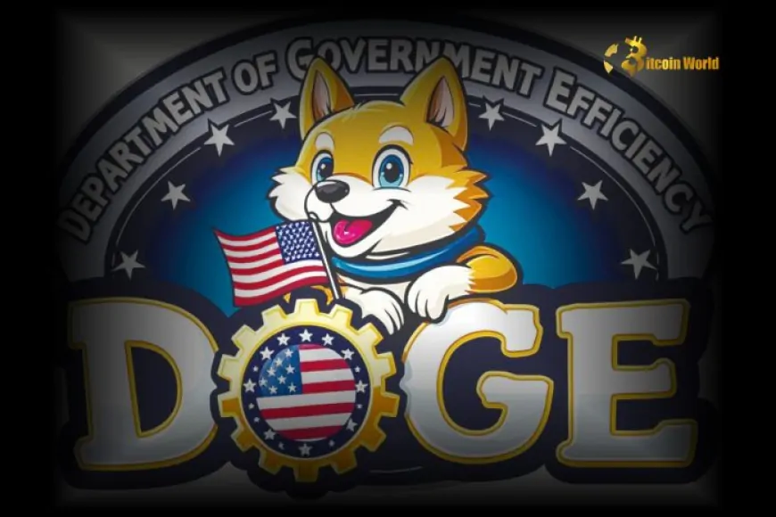 U.S. DOGE Department Updates Logo and Rebrands to Enhance Efficiency