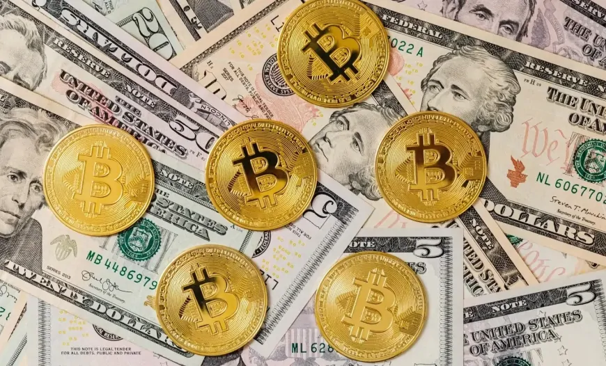 Goldman Sachs CEO Stands by Dollar, Labels Bitcoin Speculative