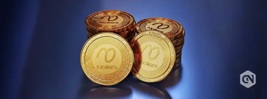 Nollars Network L2 To Fix Solana Memecoin Trading Errors