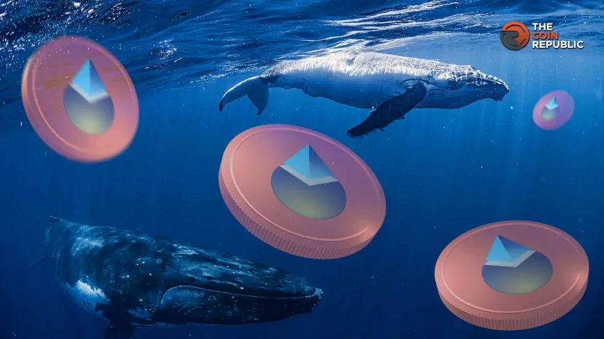 Lido DAO (LDO) Breaks Free, As Whale Buys $2.38M Amid Bullish Breakout