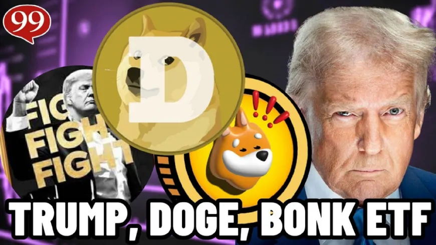 Which Meme Coin Could Be the Best Investment Ahead of ETF Approvals? $TRUMP, $DOGE, $BONK, and $WEPE