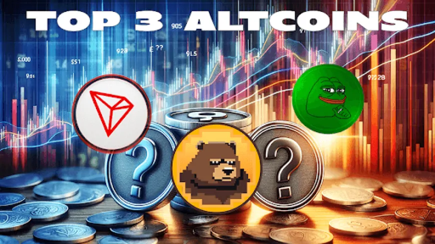 Explore 3 Altcoins Poised for Growth in the 2025 Bull Run