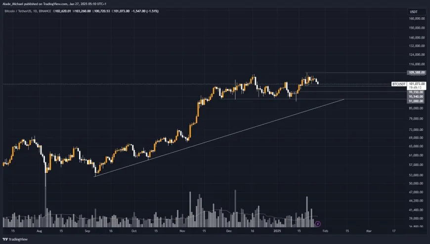 BITCOIN PRICE ANALYSIS & PREDICTION (January 27) – BTC Loses Steam Following 5% Daily Drops, is The Bull Run Slowly Fading Off