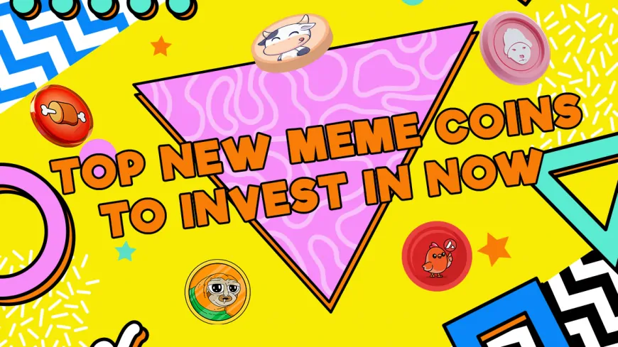 The 3 Top New Meme Coins to Invest in Today Under $1: BTFD, MEW, and BONK