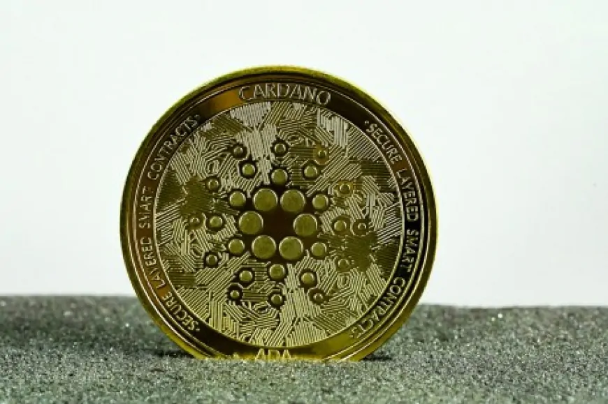 ‘No Need To Panic': Cardano (ADA) Holding Key Level Despite 14% Drop