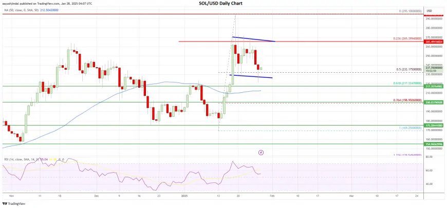 Solana (SOL) Decline Sparks Interest: Is It Still an Attractive Bet?