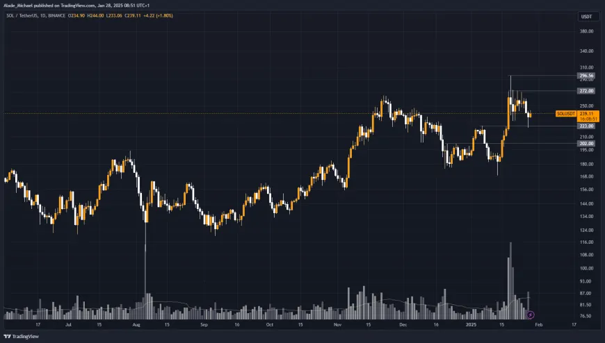 SOLANA PRICE ANALYSIS & PREDICTION (January 28) – SOL is Likely to Repeat Bullish Rally Following This Pin Bar Pattern