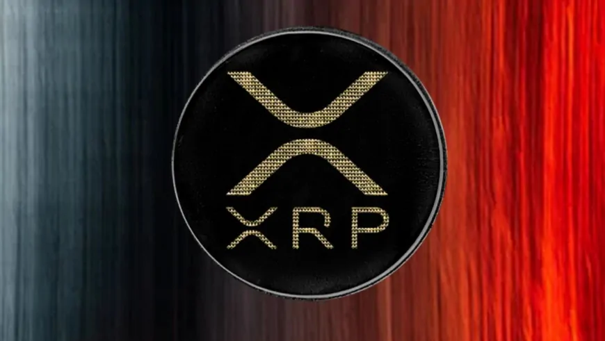 Why Bitcoin Purists Can't Stand XRP: Ripple CTO Spills The Beans