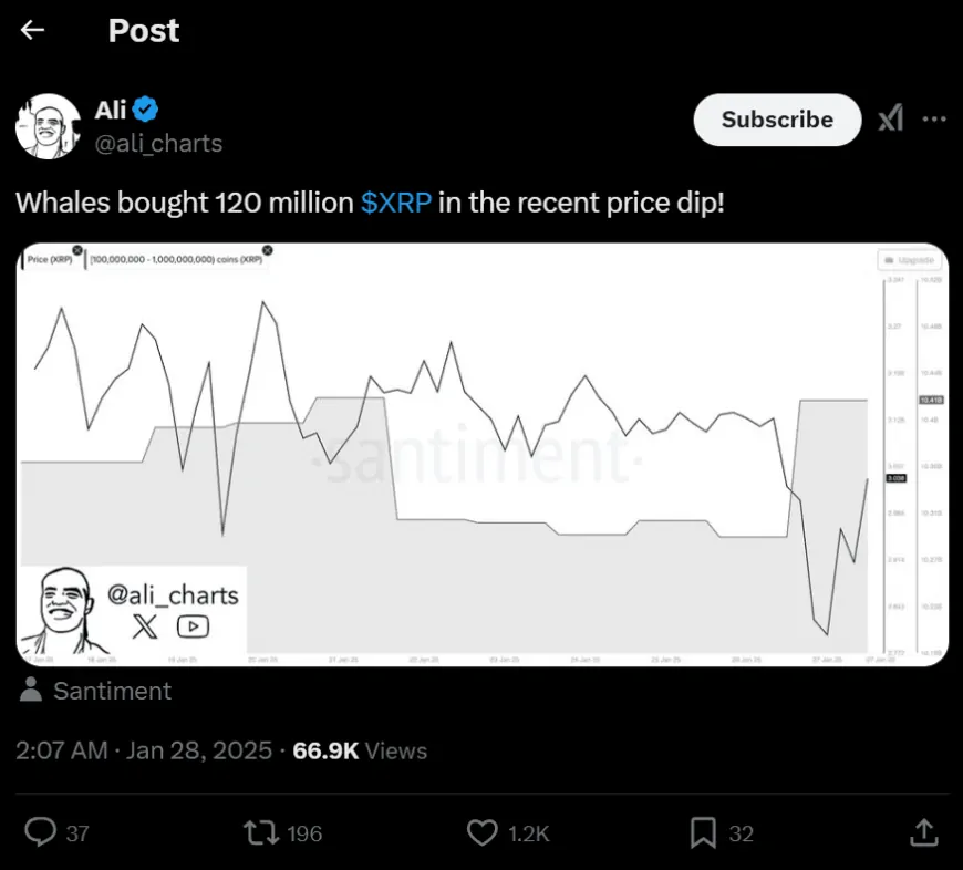 XRP Soars, LINK Eyes $50, SHIB Whales Bet Big—What's Next?