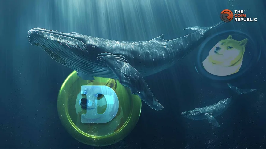 Whales Buy 460M DOGE During the Dip as MACD Bullish Crossover Approaches