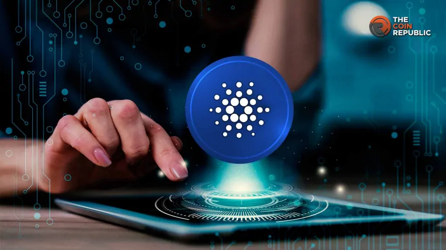 Plomin Hard Fork: Will Cardano's New Governance Survive?