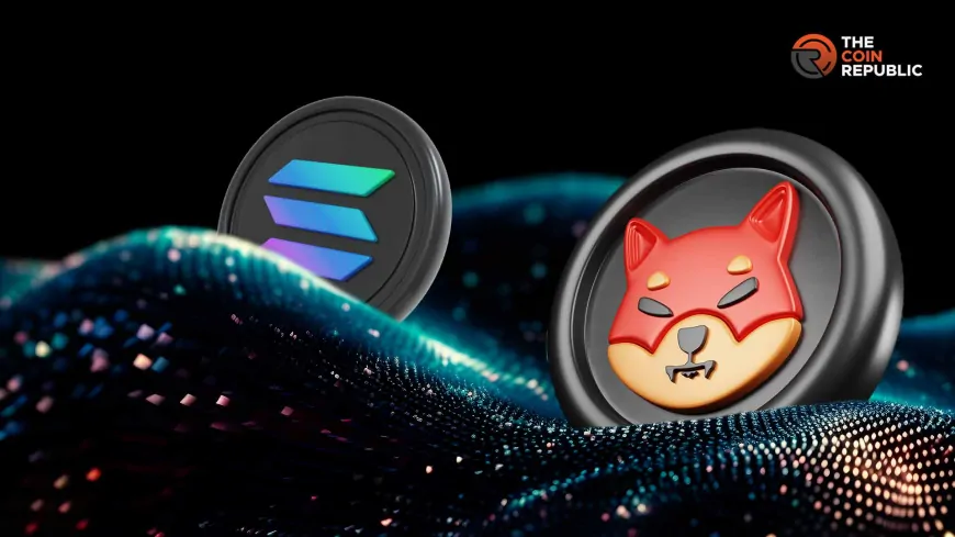 Shiba Inu Coin Community Calls For Solana Bridge: Details