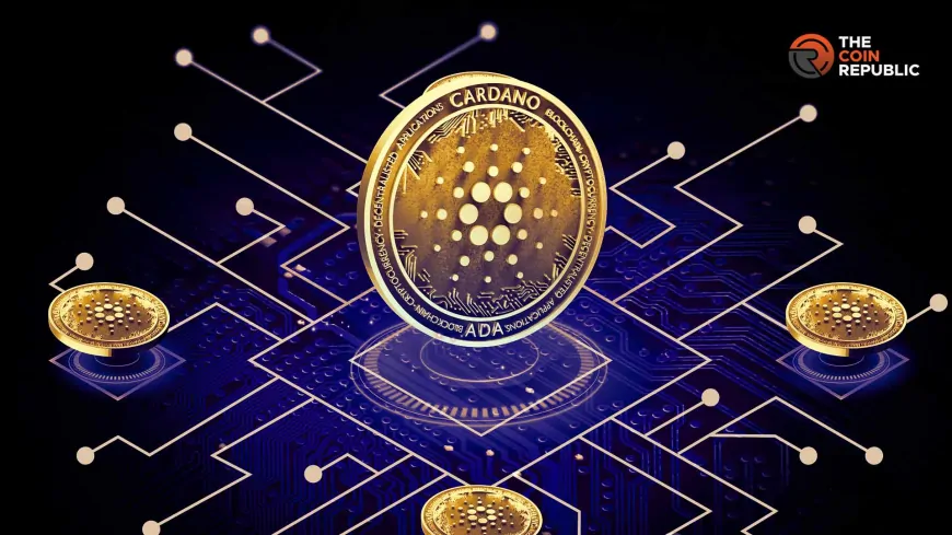 Cardano Foundation's 2024 Activity Report: All There's to Know