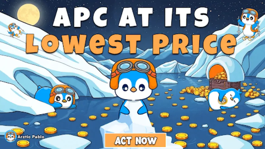 Arctic Pablo's Seed Round Is Selling Fast—Will It Be the Next Bonk-Style Breakout?