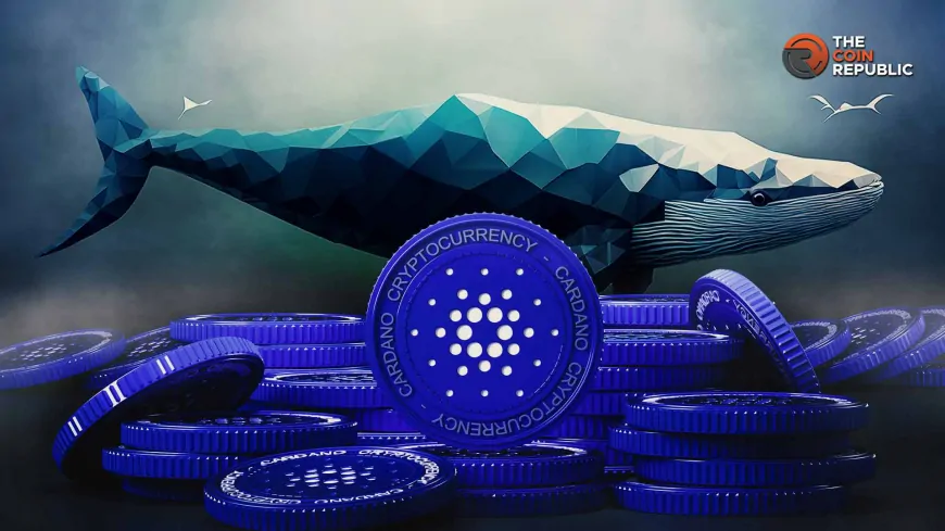 Cardano Price: Is Bullish Breakout Possible Amid Whale Inactivity?